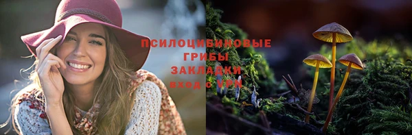 прущие грибы Абдулино