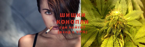 прущие грибы Абдулино