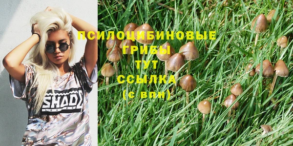a pvp Абинск