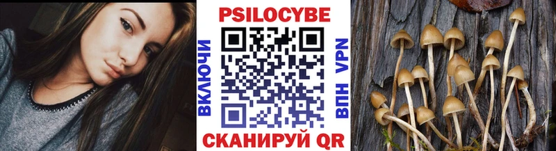 Галлюциногенные грибы ЛСД  mega вход  Рыльск 