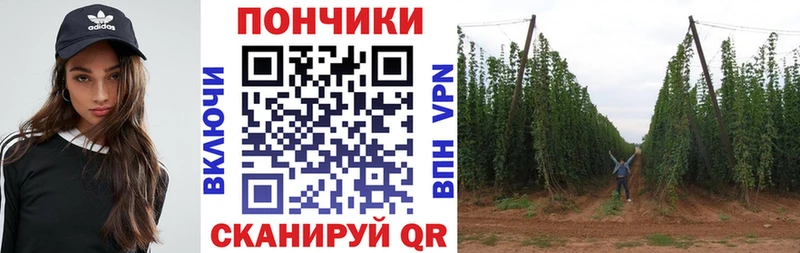 Конопля OG Kush Рыльск